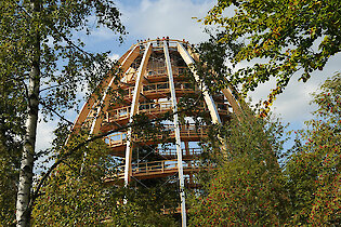 Baumwipfelpfad Bayerischer Wald